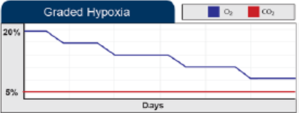 图片上传