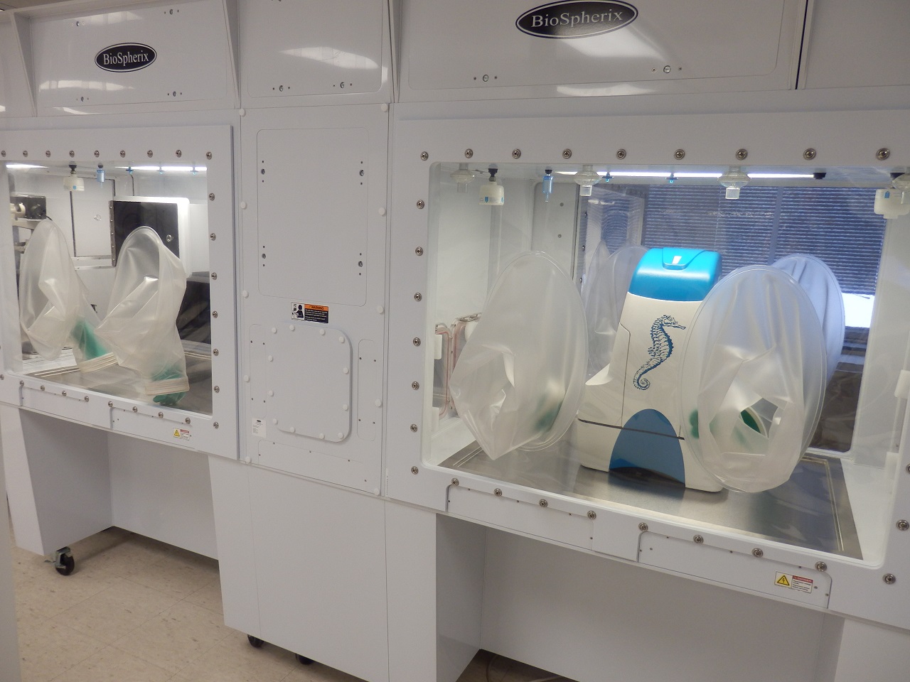 Xvivo_X3_integrated_Seahorse_1.jpg
