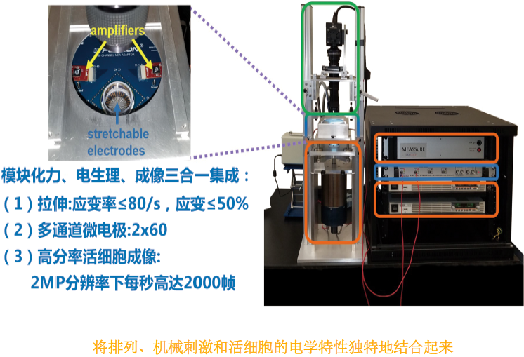 1653362156121108.png image.png