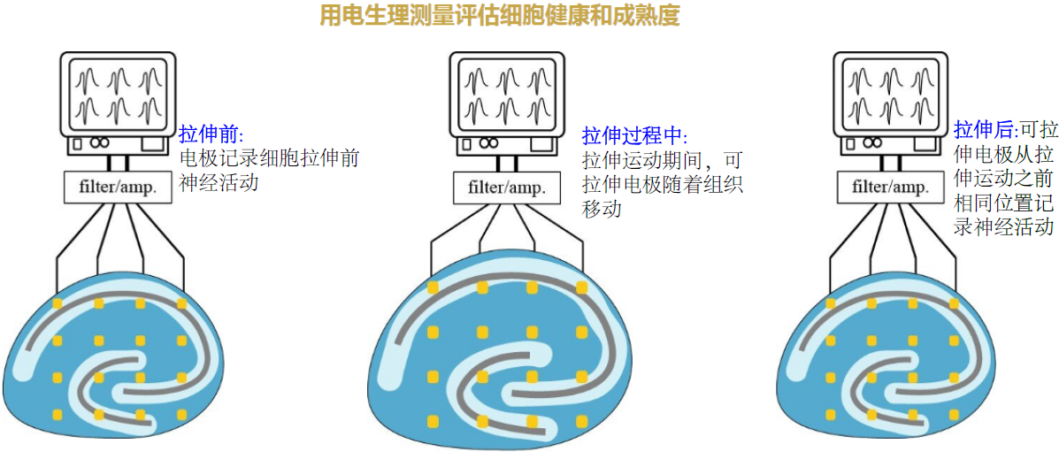 1653371450282583.png image.png