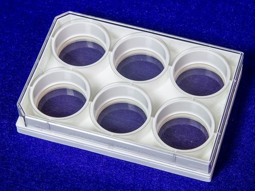 BioFlex等边轴细胞牵张拉伸培养板